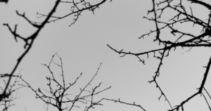 2 - Treat Mental Health